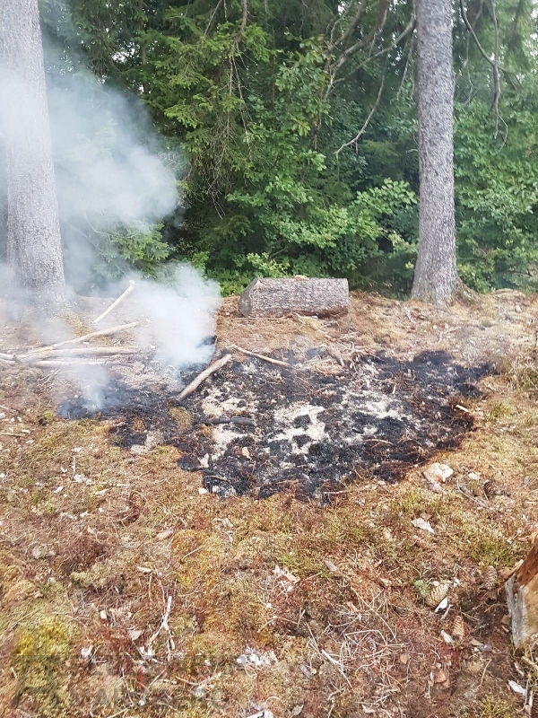 Feuer Feuer