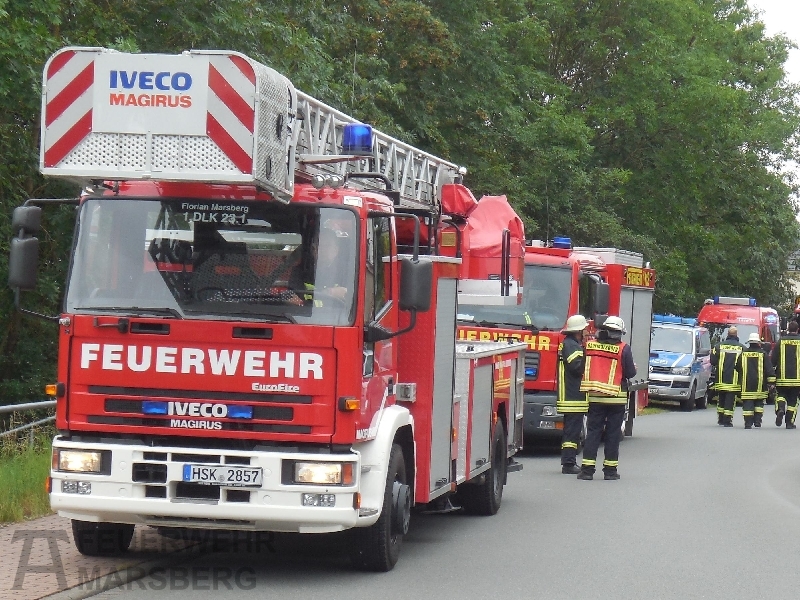 Feuer Feuer