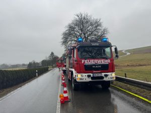 Feuer
