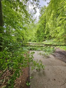 Hilfeleistung