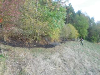 Feuer