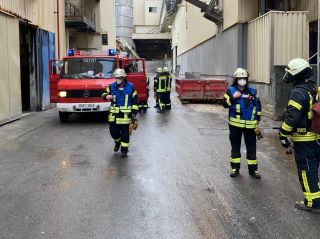 Bild-Nr. 1156 Feuer