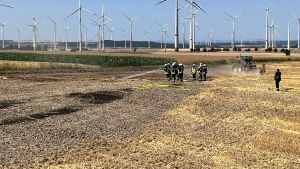 Bild-Nr. 1507 Feuer