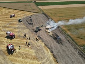 Bild-Nr. 1510 Feuer