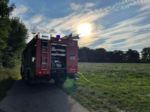 Bild-Nr. 1538 Feuer