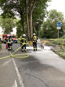 Bild-Nr. 1556 Feuer