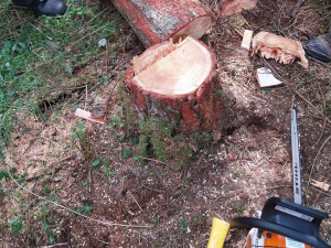 2023-05-28_ak_ausb_lehrgaenge