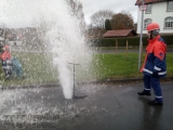 2017-11-11_jf_ghg_hydrant