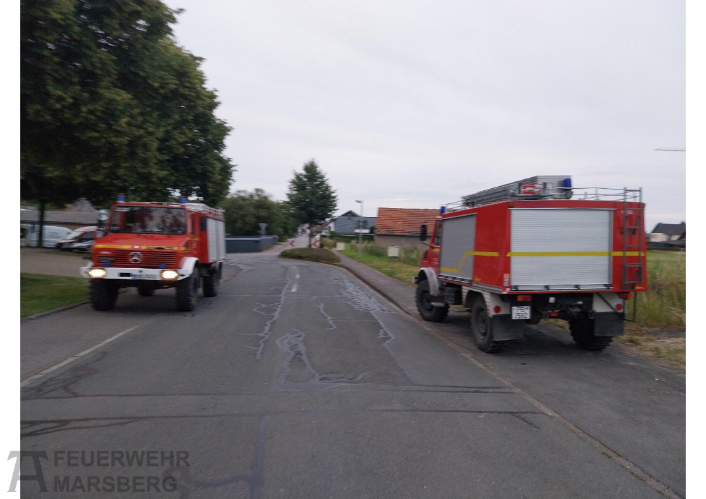 2024-07-08_lg_ess_walduebung