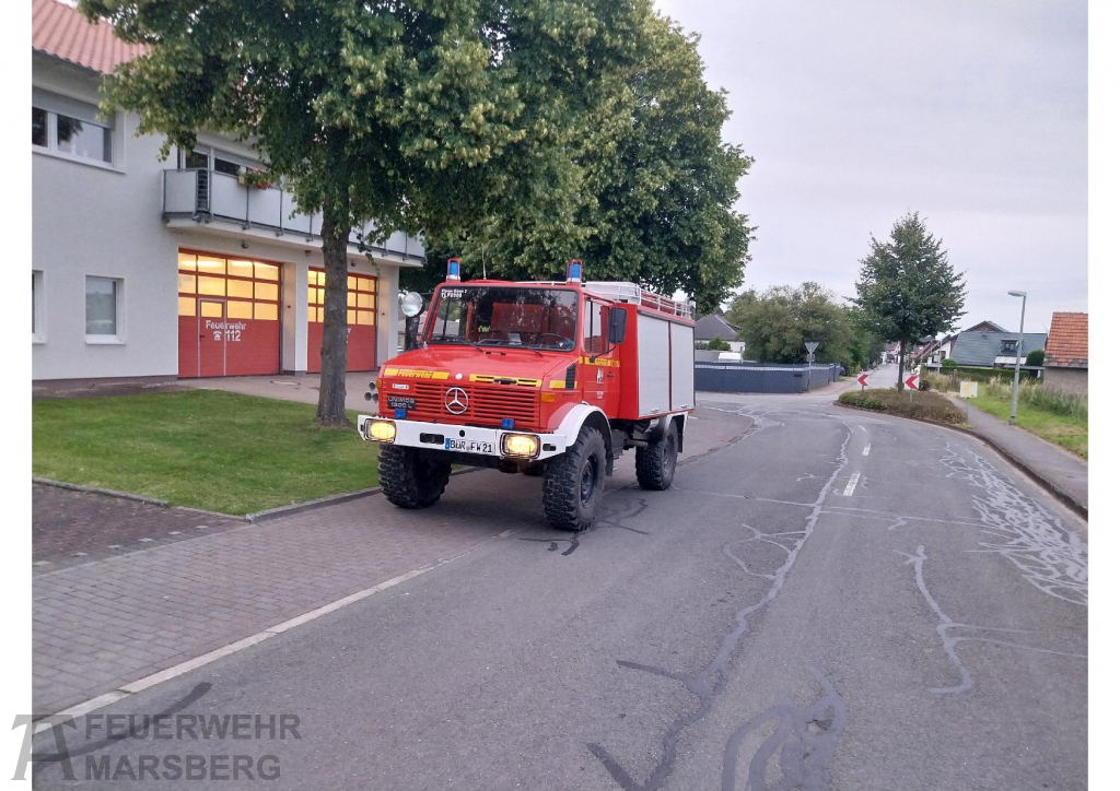 2024-07-08_lg_ess_walduebung