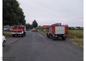 2024-07-08_lg_ess_walduebung