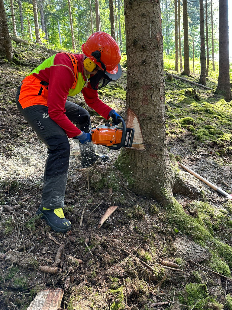 phoca thumb l 2024 05 04 ak ausb th wald fb 0005