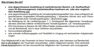 2025-01-31_stadt_ausschreibung_text